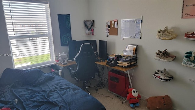 carpeted bedroom with multiple windows