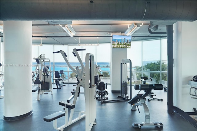 workout area featuring a water view and plenty of natural light