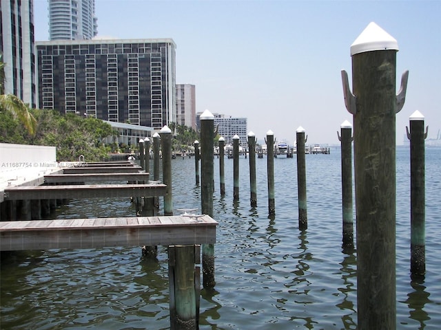 dock area with a water view