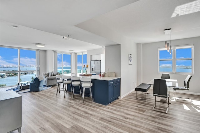 kitchen featuring plenty of natural light, stainless steel fridge, a water view, and light wood-type flooring