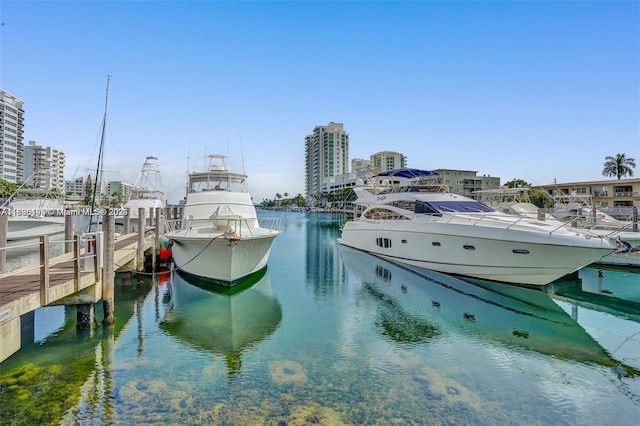 dock area featuring a water view