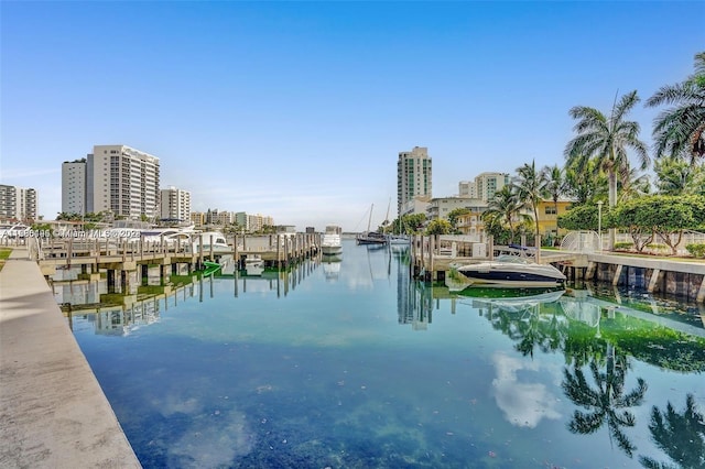 view of water feature with a boat dock