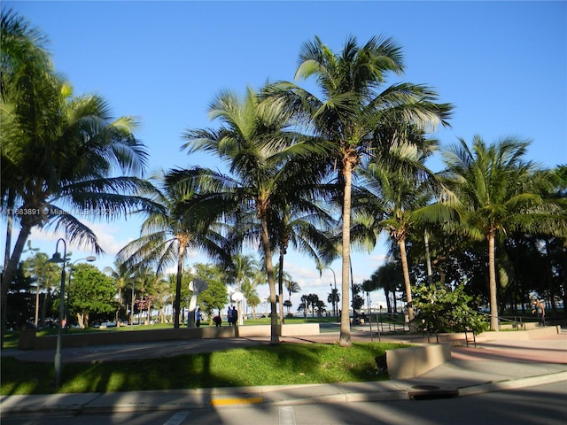 view of surrounding community