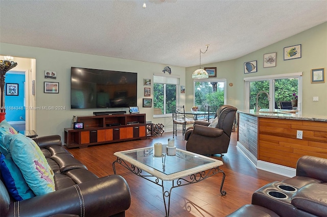 living room with lofted ceiling, a textured ceiling, sink, and dark wood-type flooring