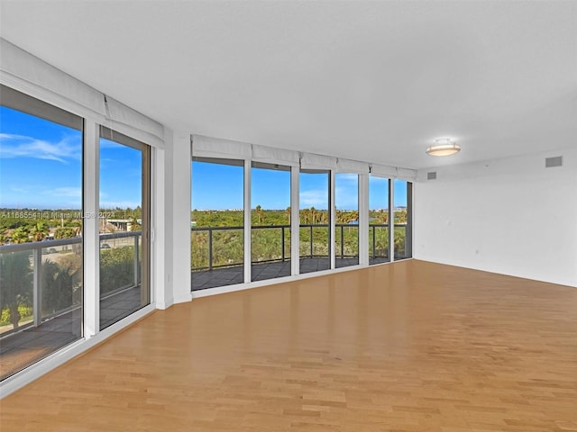 unfurnished room with light hardwood / wood-style flooring and a healthy amount of sunlight