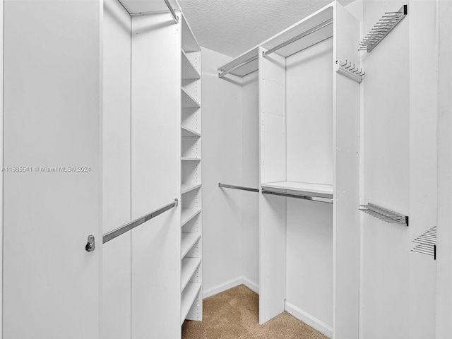 spacious closet featuring light carpet