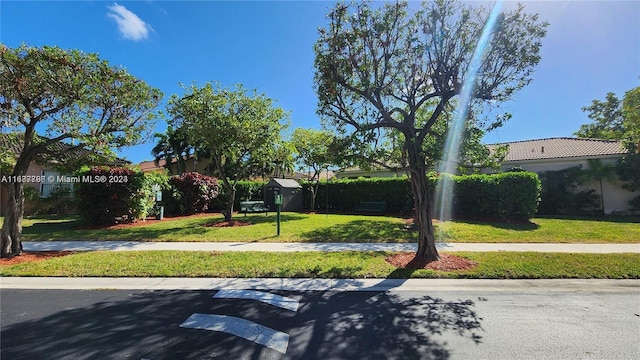 view of front of house featuring a front lawn