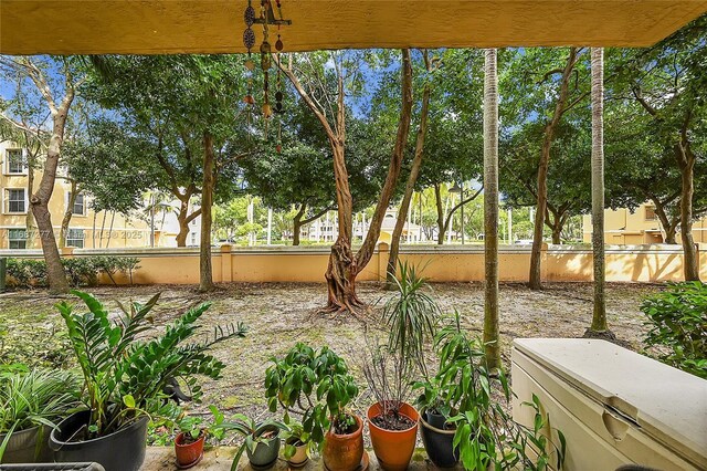 519 E Sheridan St Unit 106, Dania Beach, FL 33004 - view of yard