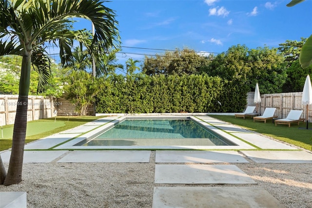 view of pool featuring a patio