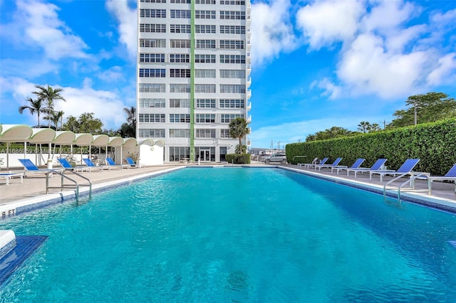 view of pool featuring a patio