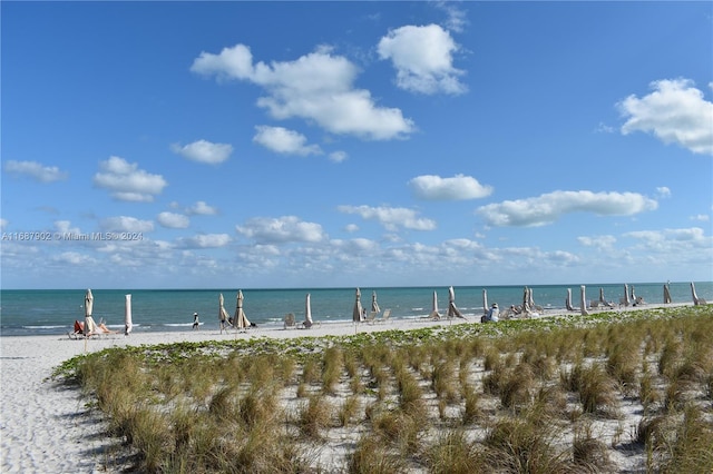 view of water feature featuring a view of the beach