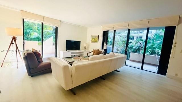 living room with light hardwood / wood-style flooring