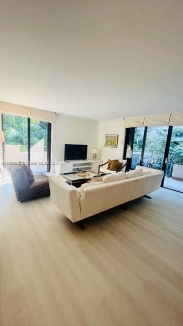 living room with light hardwood / wood-style flooring