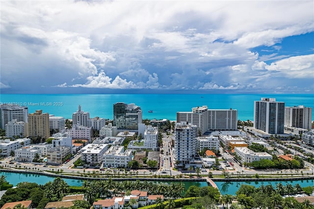 aerial view with a water view