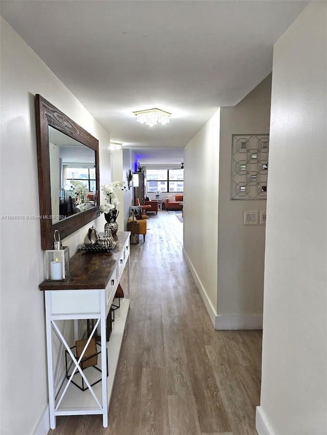 corridor with a wealth of natural light and hardwood / wood-style flooring