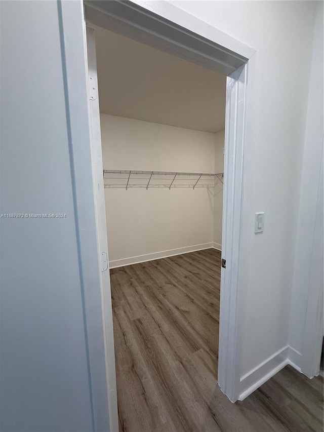 spacious closet with hardwood / wood-style flooring