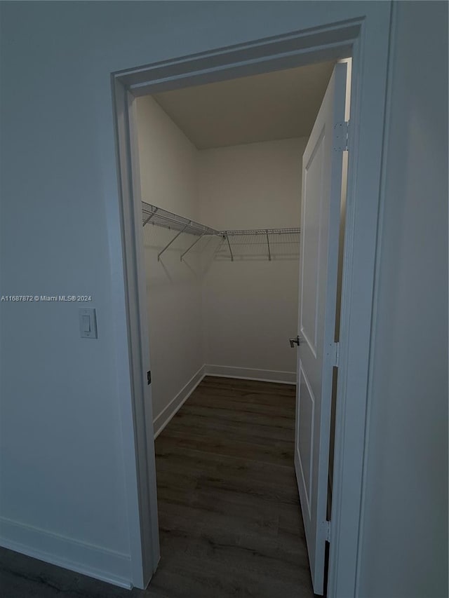 spacious closet with dark hardwood / wood-style floors