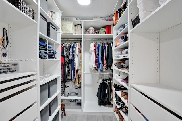 spacious closet with light wood-type flooring