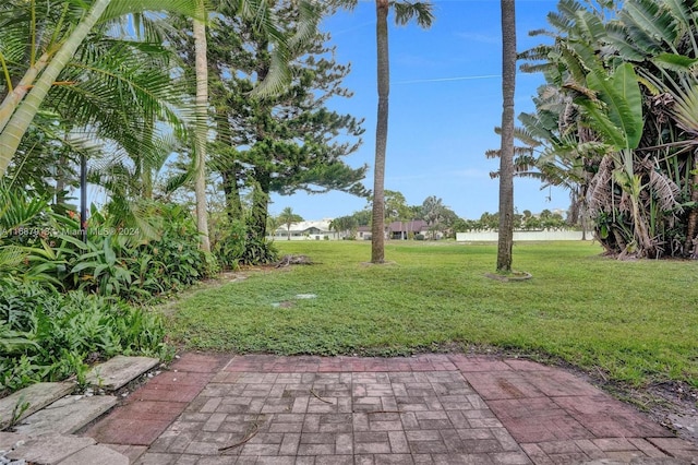 view of yard with a patio