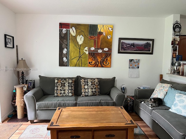 living room with wood-type flooring