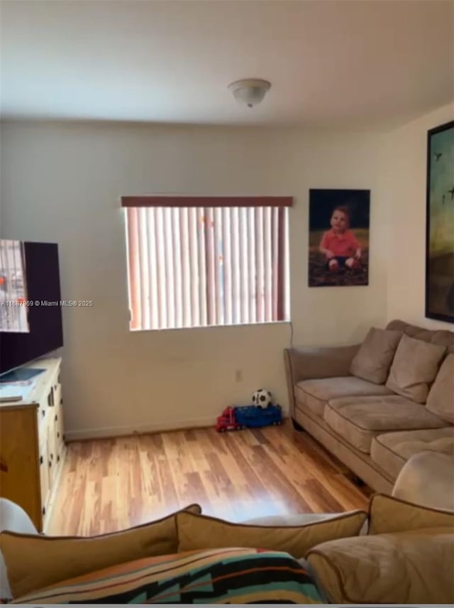 living room with wood-type flooring