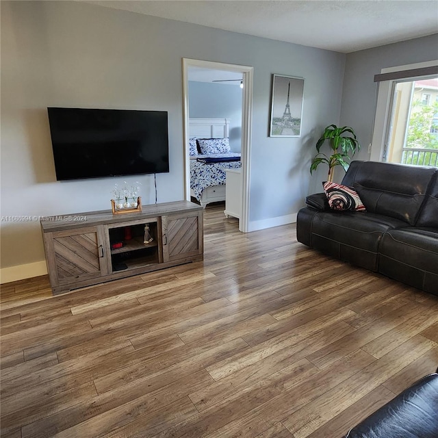 living room with hardwood / wood-style flooring