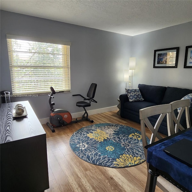 living room featuring hardwood / wood-style floors and a textured ceiling