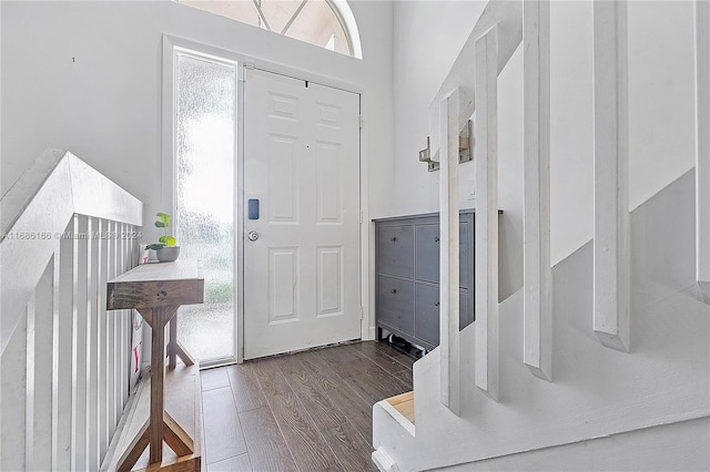 foyer entrance with dark hardwood / wood-style flooring