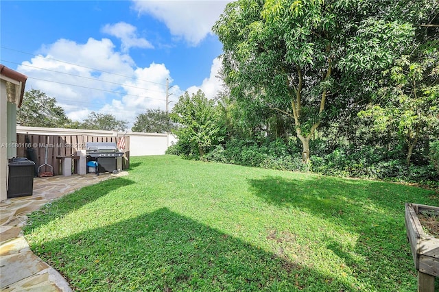 view of yard featuring a patio