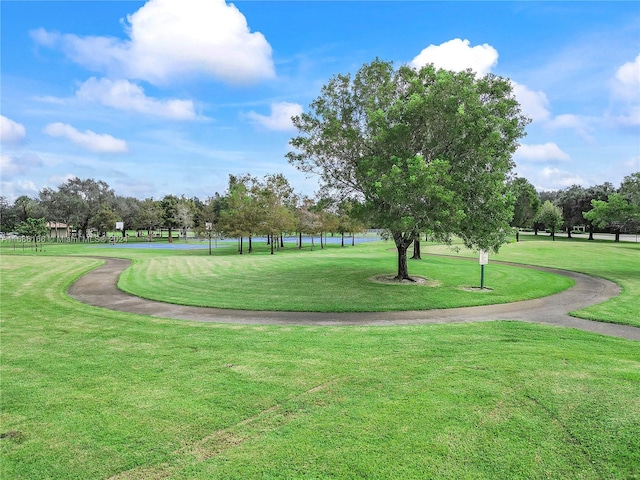 view of community featuring a lawn