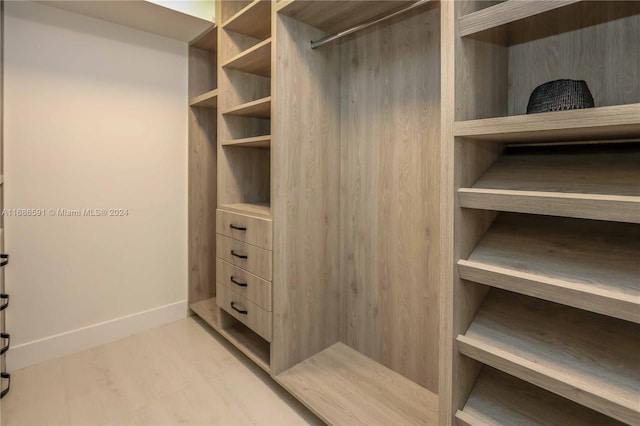 spacious closet with light hardwood / wood-style flooring