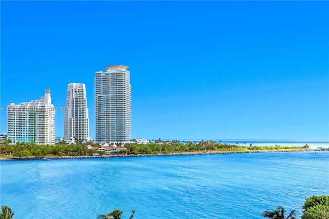 7065 Fisher Island Dr Unit 7065, Miami Beach, FL 33109 - water view