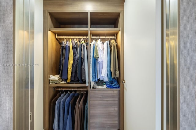 view of closet