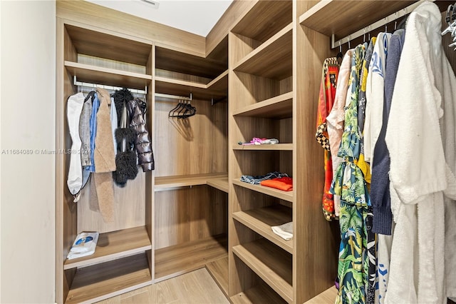 7065 Fisher Island Dr Unit 7065, Miami Beach, FL 33109 - view of spacious closet