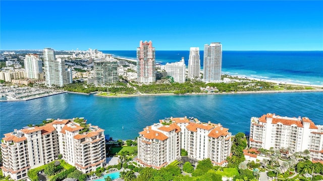7065 Fisher Island Dr Unit 7065, Miami Beach, FL 33109 - view of urban area featuring a large body of water