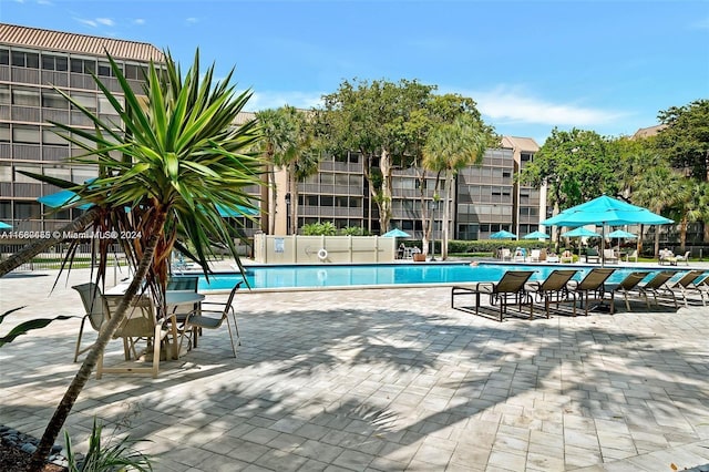 view of swimming pool featuring a patio area