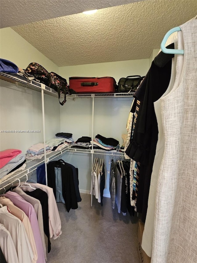 walk in closet with carpet floors