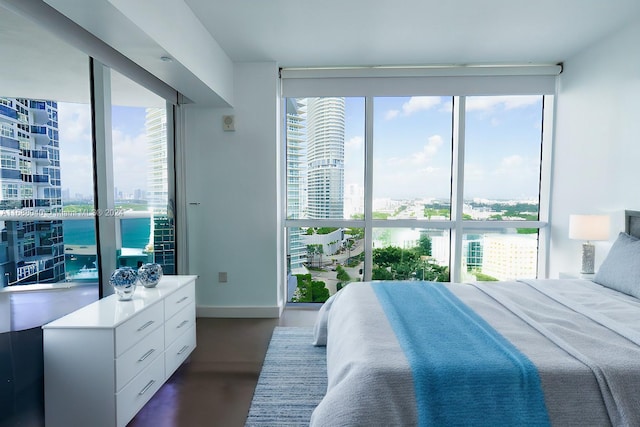 bedroom with dark hardwood / wood-style flooring and a water view