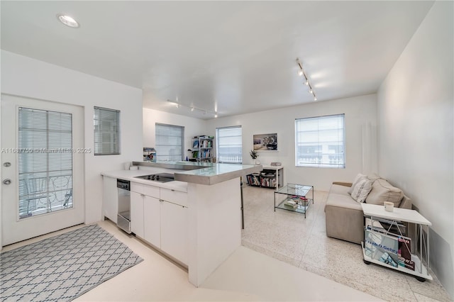 kitchen with white cabinetry, rail lighting, stainless steel dishwasher, and kitchen peninsula