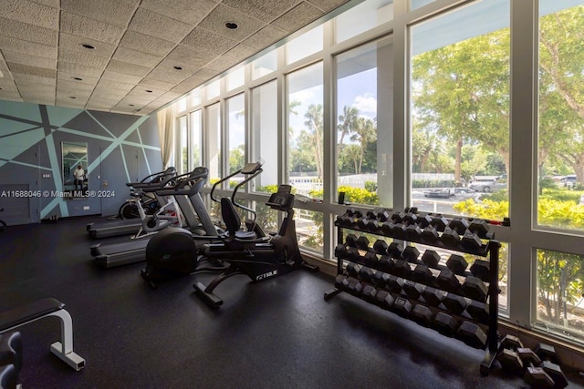 exercise room with a healthy amount of sunlight and a drop ceiling