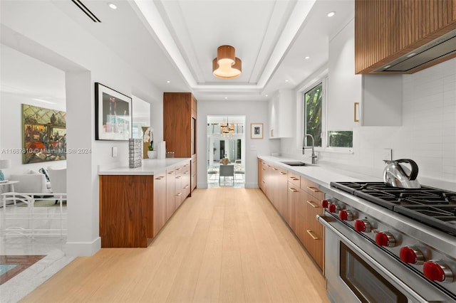 kitchen with tasteful backsplash, high end stainless steel range, light wood-type flooring, a raised ceiling, and sink