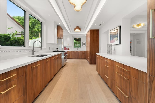 kitchen with decorative backsplash, light wood-type flooring, sink, and stainless steel range