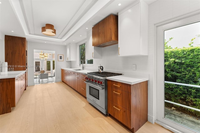 kitchen with luxury stove, light wood-type flooring, and a healthy amount of sunlight