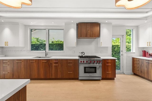 kitchen featuring light hardwood / wood-style floors, white cabinets, sink, tasteful backsplash, and premium range