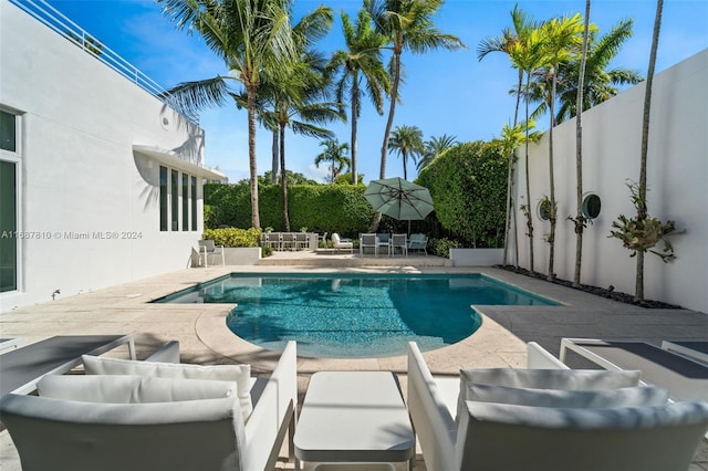 view of swimming pool with a patio area