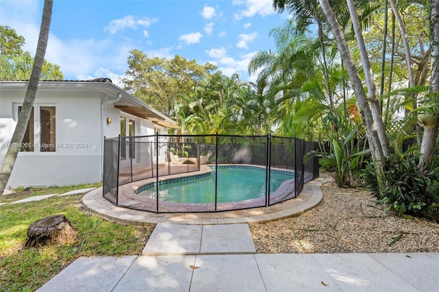 view of swimming pool featuring a patio