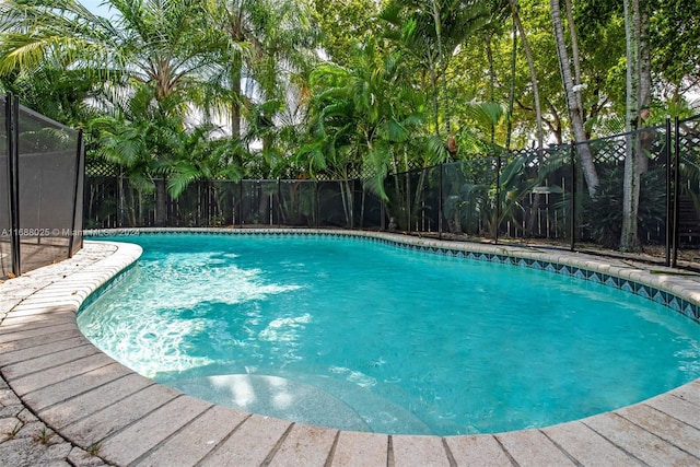 view of swimming pool