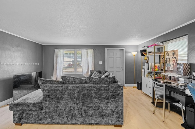 living room featuring light hardwood / wood-style floors, a textured ceiling, and ornamental molding