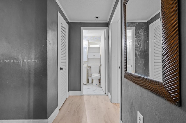 hallway featuring light hardwood / wood-style floors and crown molding