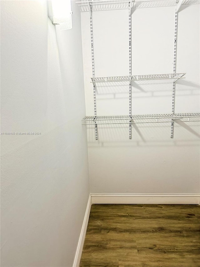 spacious closet featuring dark wood-type flooring